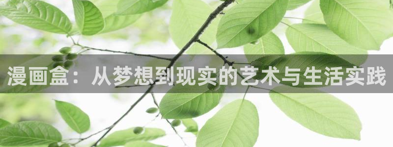 51漫画破解版ios：漫画盒：从梦想到现实的艺术与生活实践